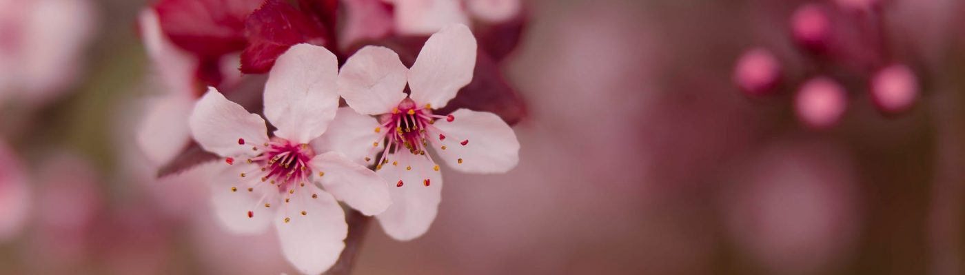 Affirmations of Hope