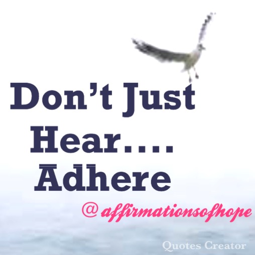 3338B712-A417-48FC-9A8D-A4BF9563A263